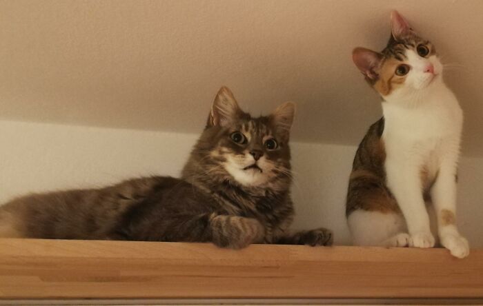 A Confusing Photo Goes Viral, And It Might Confuse You As Well