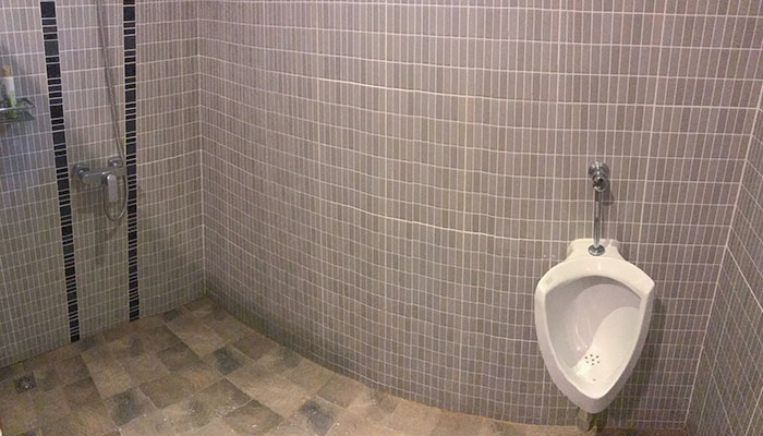 The Hotel I Stayed At Had A Urinal In The Shower