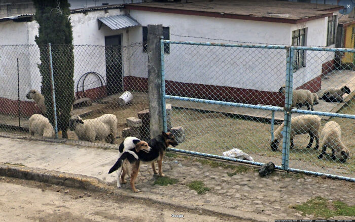 Google-Street-View-Funny-Pics-Jon-Rafman