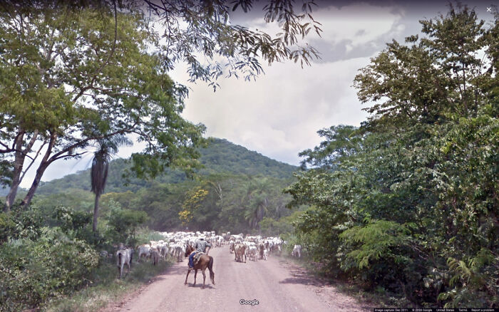 Google-Street-View-Funny-Pics-Jon-Rafman