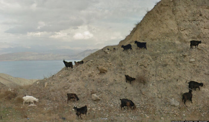 Google-Street-View-Funny-Pics-Jon-Rafman