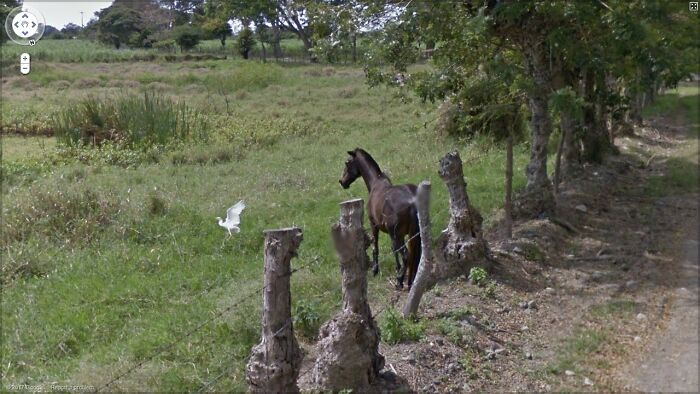Google-Street-View-Funny-Pics-Jon-Rafman
