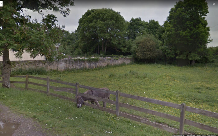 Google-Street-View-Funny-Pics-Jon-Rafman