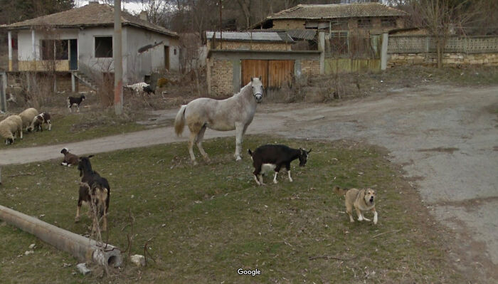 Google-Street-View-Funny-Pics-Jon-Rafman