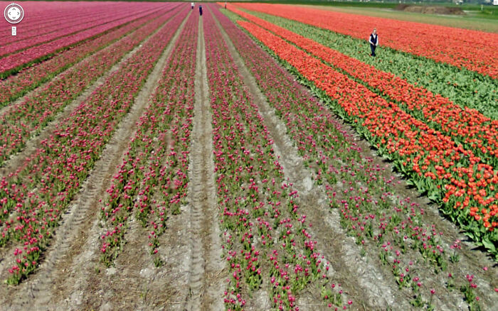 Google-Street-View-Funny-Pics-Jon-Rafman