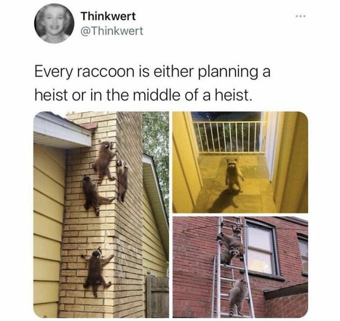 Genuinely Lol’d At This