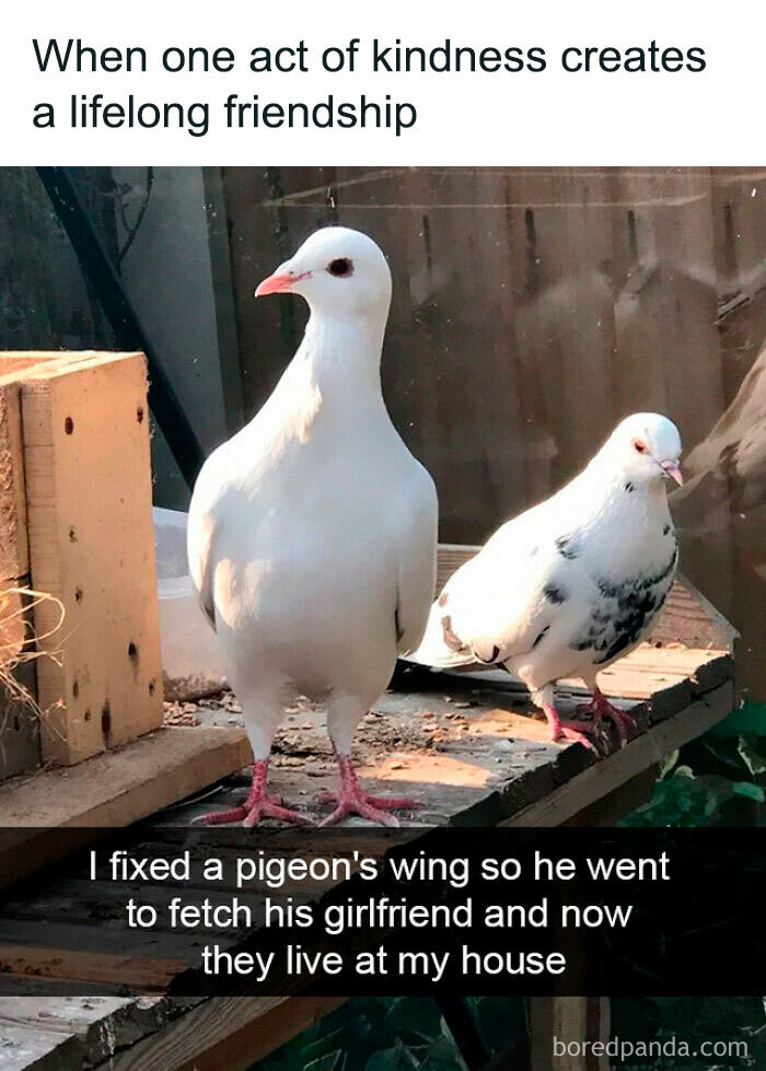 Helping Those Around You Will Benefit You Greatly