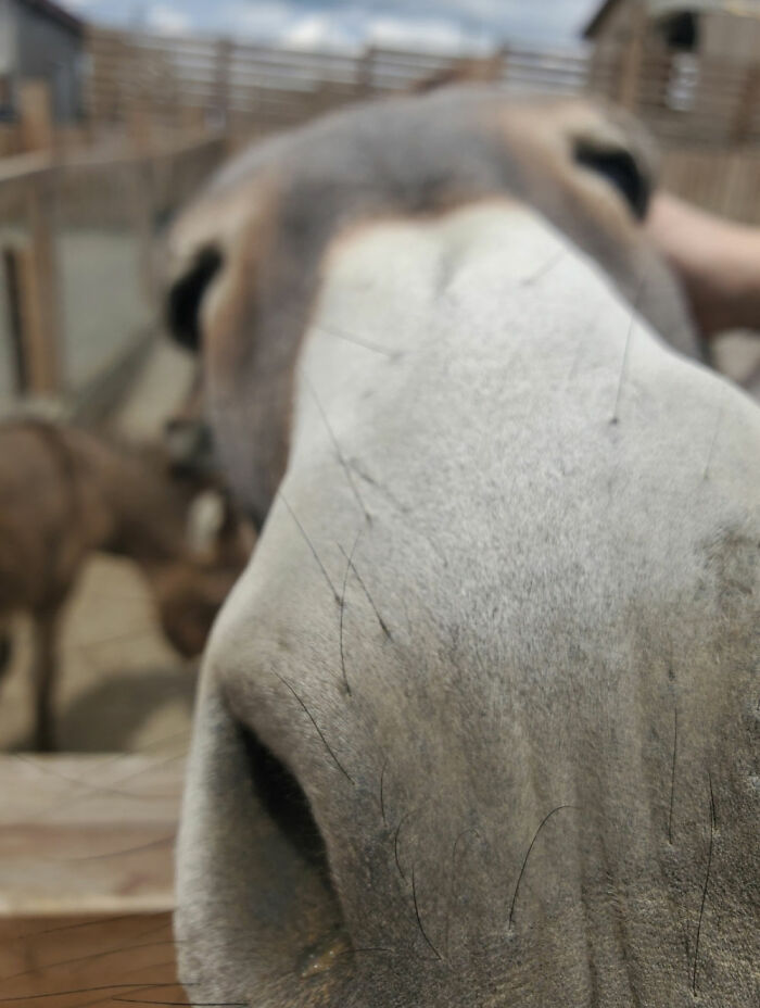 I Stopped To Say Hi To This Guy. We're Friends