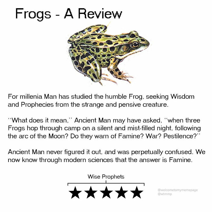 Frogs