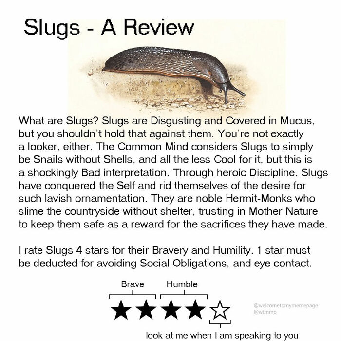 Slugs