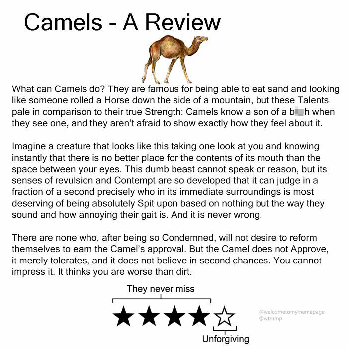Camels