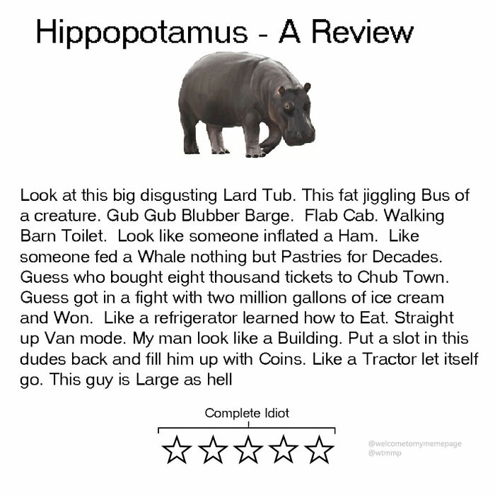 Hippopotamus