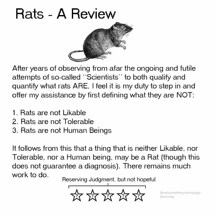 Rats