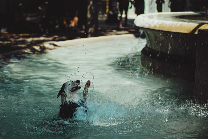 40 Of The Most Disrespectful Guests These People Had The 'Pleasure' Of Hosting