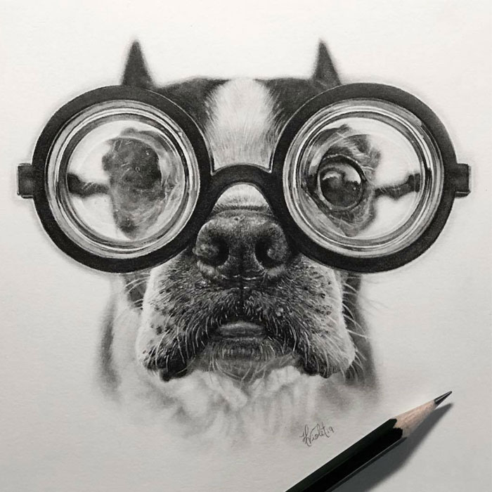 Artist Makes Realistic Pet Portraits Using Only A Pencil, Here Are The Best 49 Works