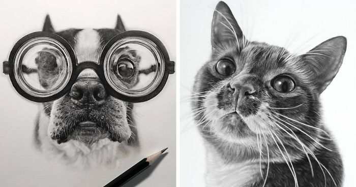 Artist Makes Realistic Pet Portraits Using Only A Pencil, Here Are The Best 49 Works