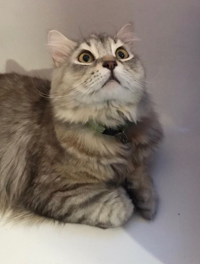 Leo, Looking At A Fly. Cutest Boy Ever