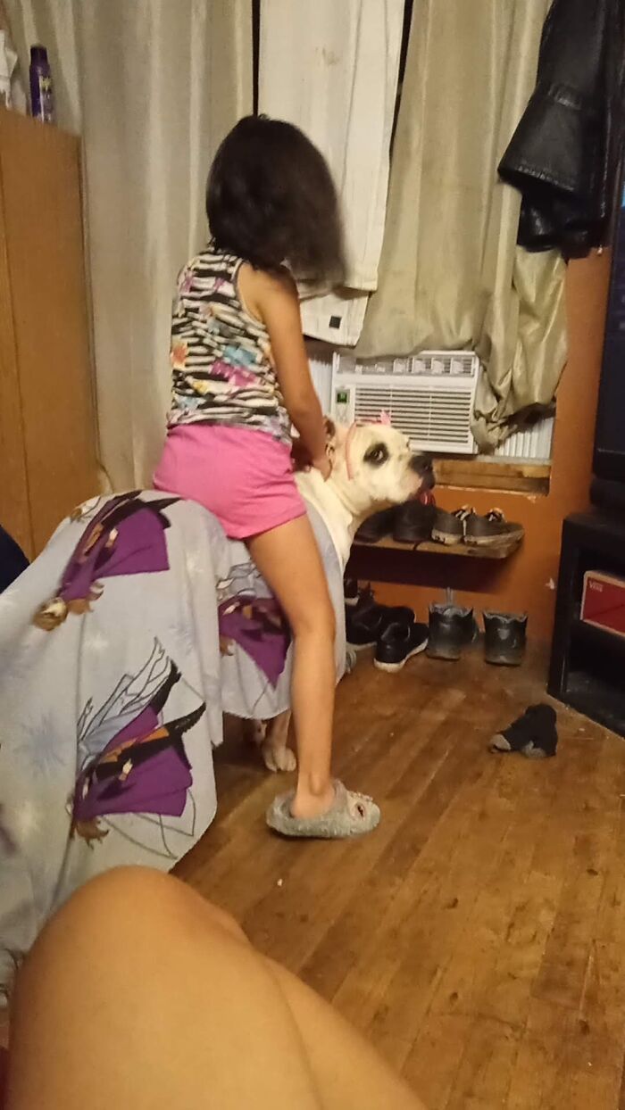 Krimson Has The Honor Of Being The Royal Steed Tonight 😅