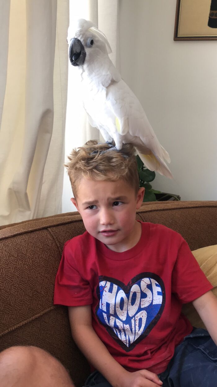 Found Her Spot And She Wasn’t Leaving, My Son Was Very Concerned.