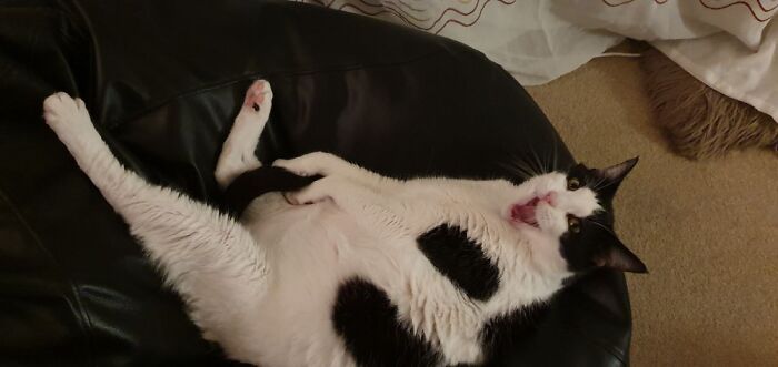 Hey Hey! That’s My Wooley Bits!