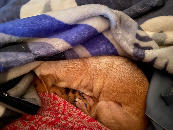 He’s Not Coming Out. Ever.