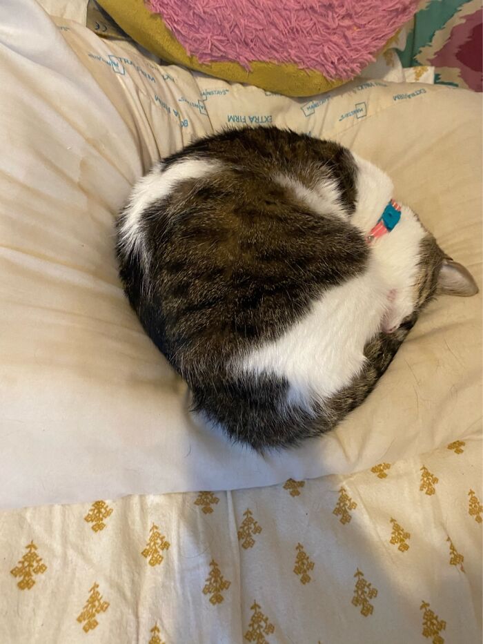 I Came Home From School To Her Sleeping.