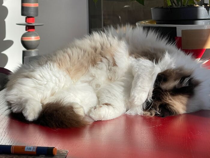 Trying To Sleep But The Light Bothers Me