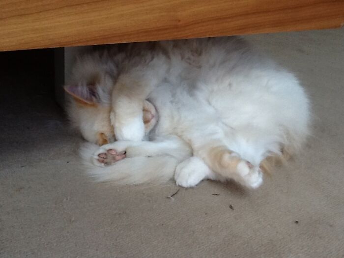 Leave Me Alone, I Am Sleeping