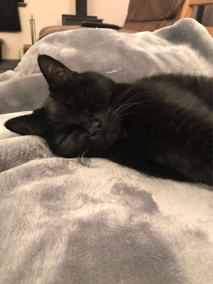 My Sleepy Void