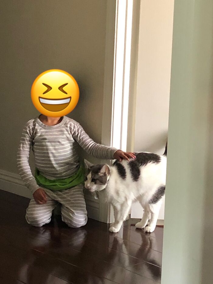 4 Y/O Nephew And My Cat Bo