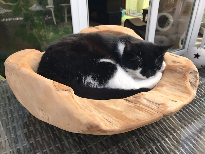 Perfect Fit In My Wooden Bowl