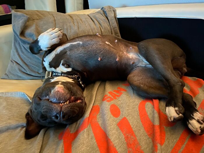 She’s Fine, I Swear