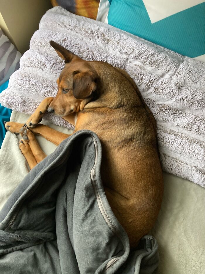 He Tried To Tuck Himself In