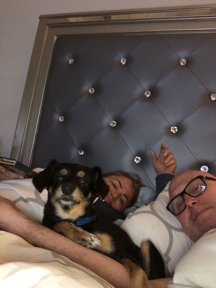 Mickey Was Rescued And Loves To Be With Us Always .