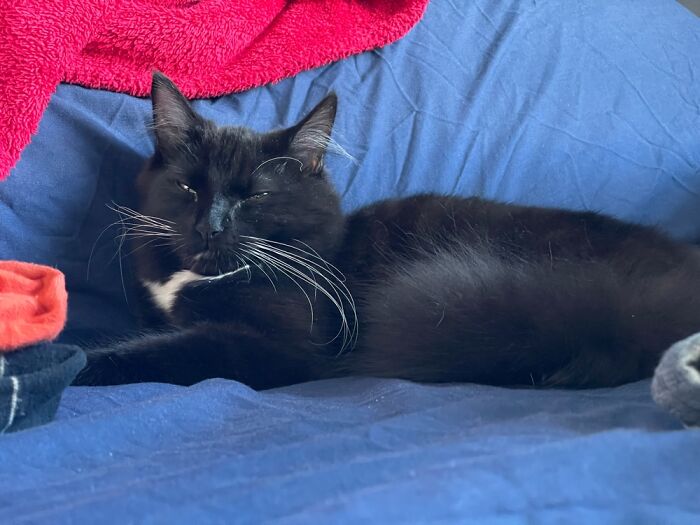 Albus Is Above The Chaos Of Moving House!