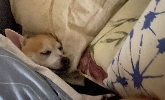 Popcorn Does Not Do Mornings