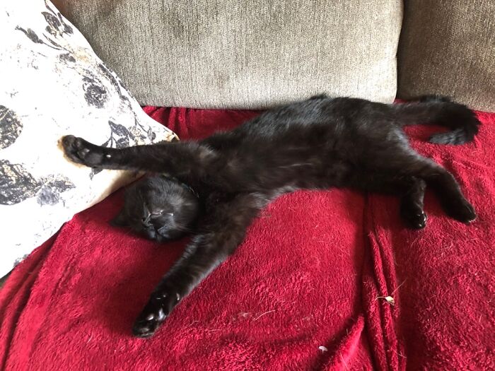 S T R E T C H Ferguson