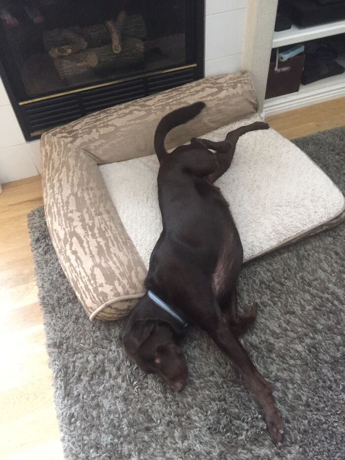 Why Stay Fully On The Bed?