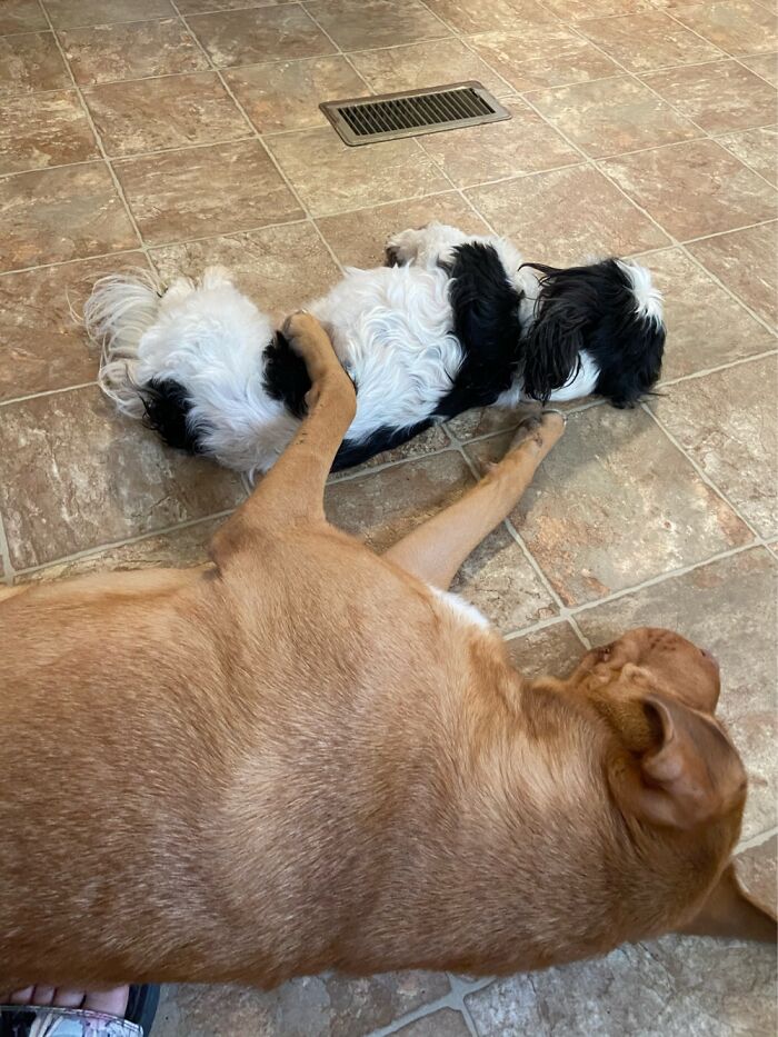 After A Long Day Of Not Getting Along