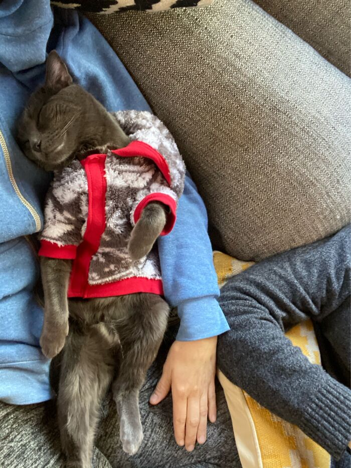 We Got Family Onesies And Didn’t Know How He’d React. Need