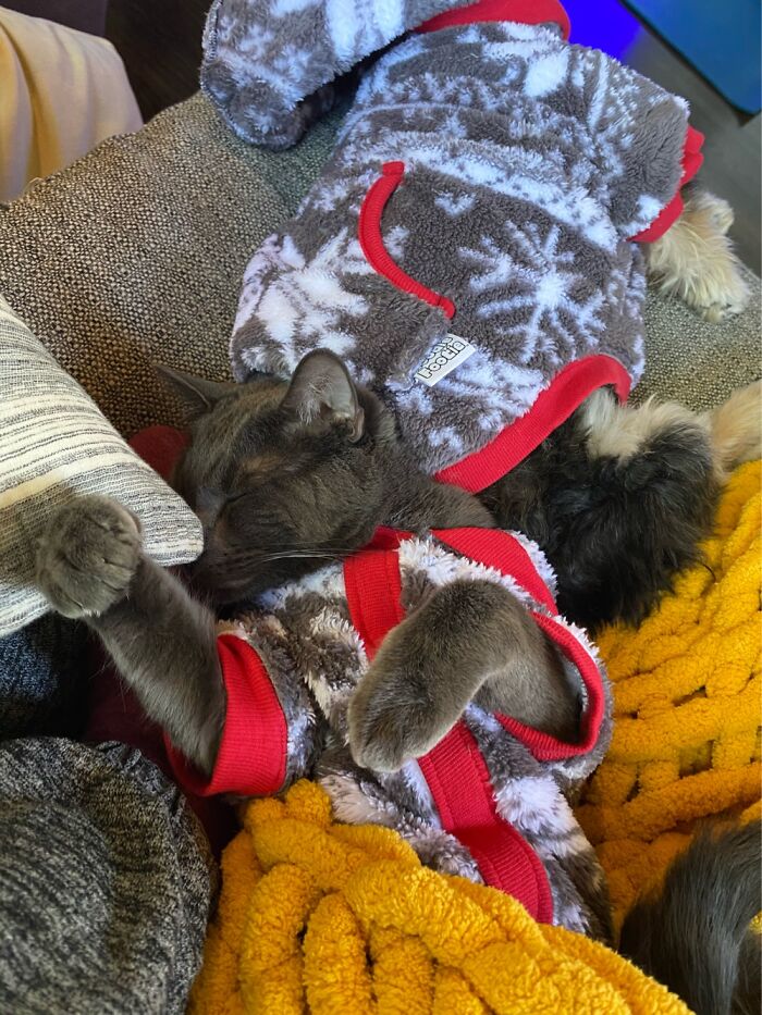 Opening Christmas Presents Is Exhausting.