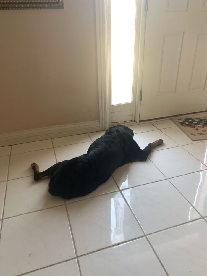 Fell Asleep Waiting On Her “Son”