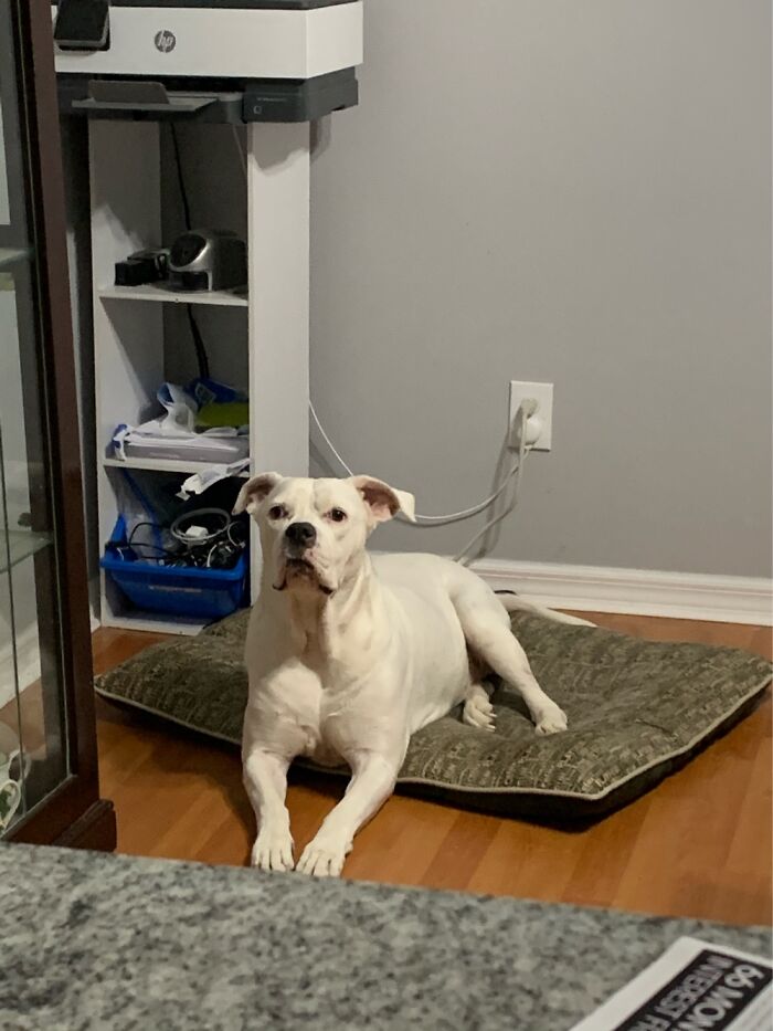 Sparkle Being Nosy Lol