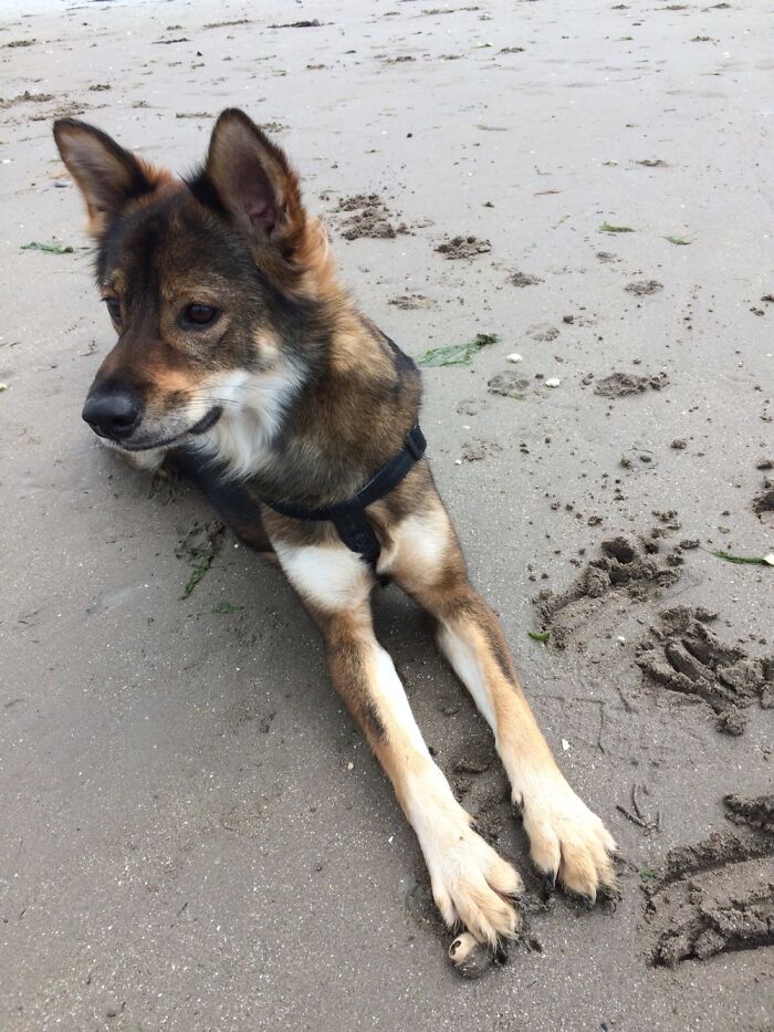 Playing With Sand On A Beach