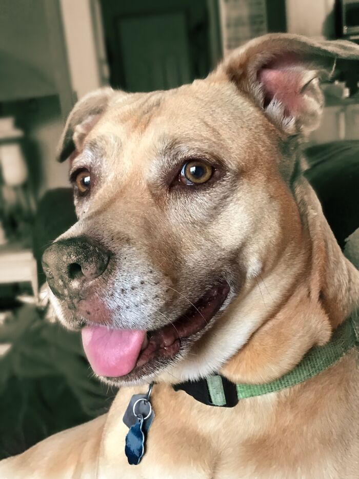 Honey (My Lovebug) ❤️❤️❤️