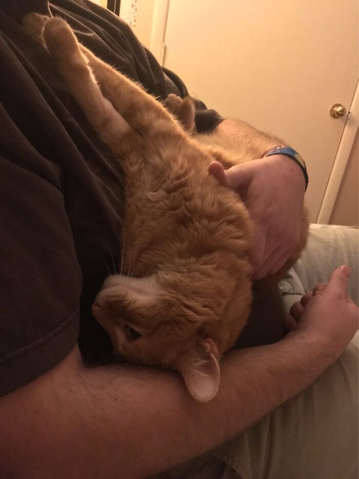 I Don’t Know Why He Likes To Hang Out Like This.