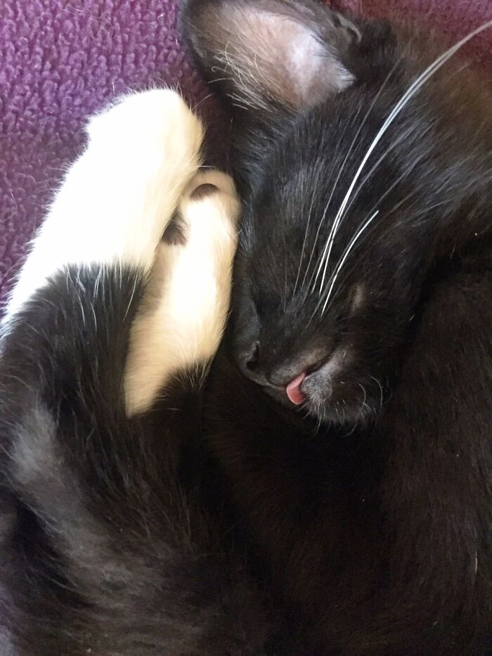 Alice At About 12 Weeks