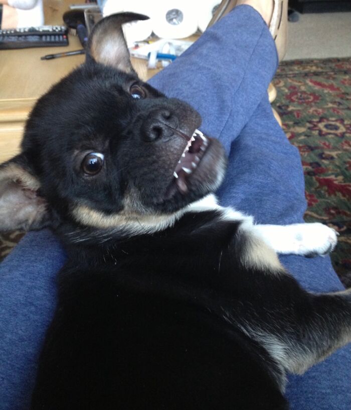 My Little Sass, Pepper