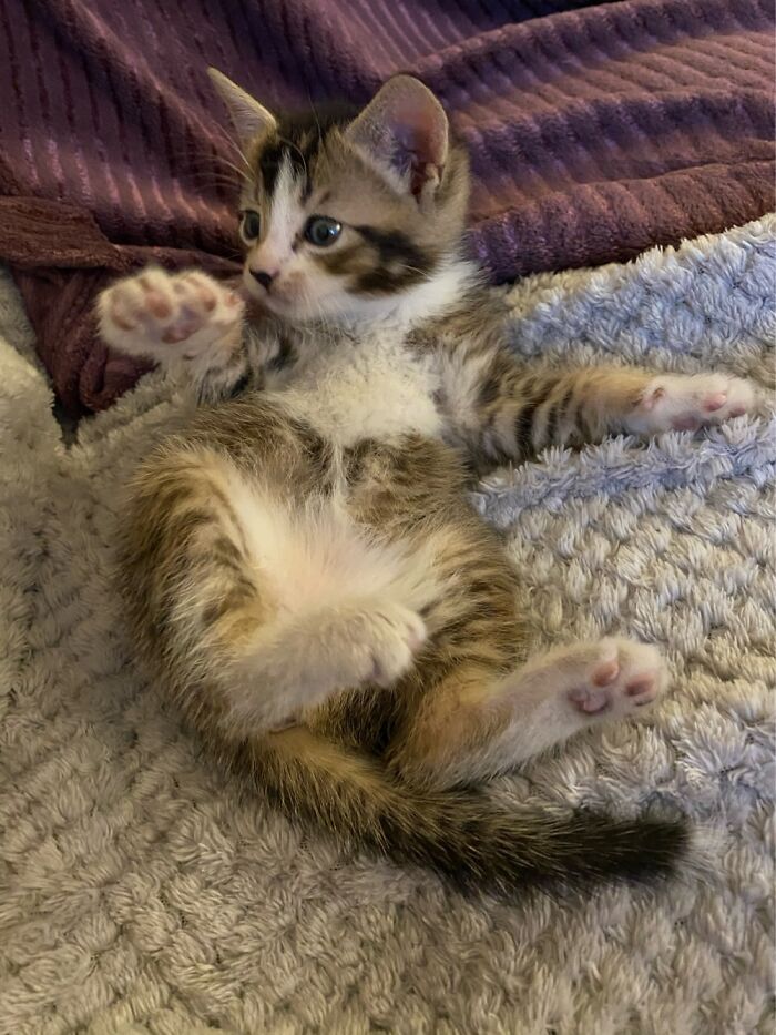 Keith At 6 Weeks Old