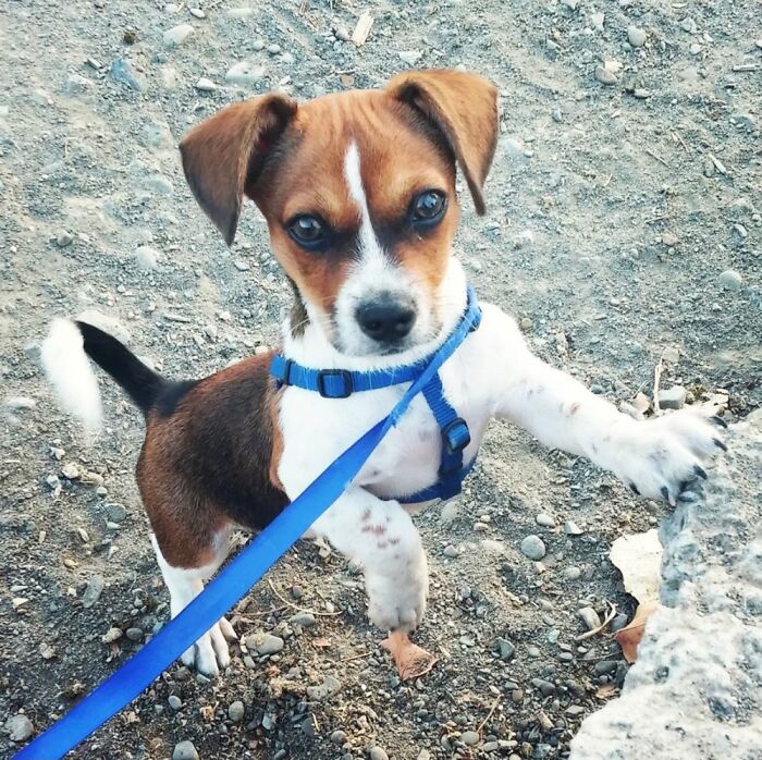 He Is One Here, And Is Now Six Years Old!!!